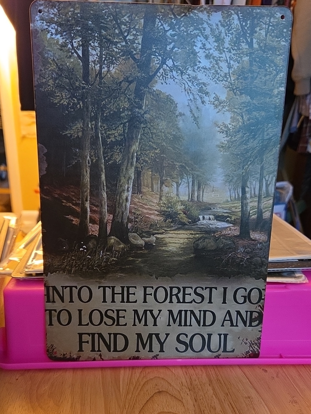 Into the Forest Wall Art Sign - Green Woodland Quote